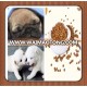 Pet food type and dogs application pet food