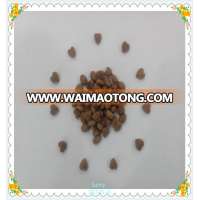 China Dogs Application and Pet Food Type Bulk Dog Food