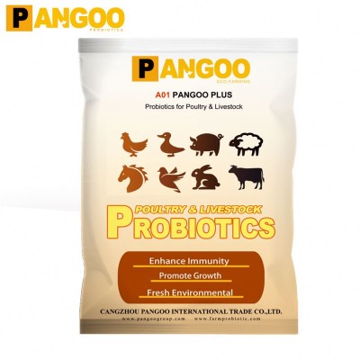 Buy pig health probiotics management