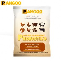 Buy pig health probiotics management