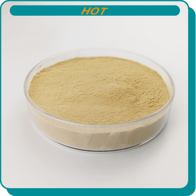 High protein feed yeast price lowest price